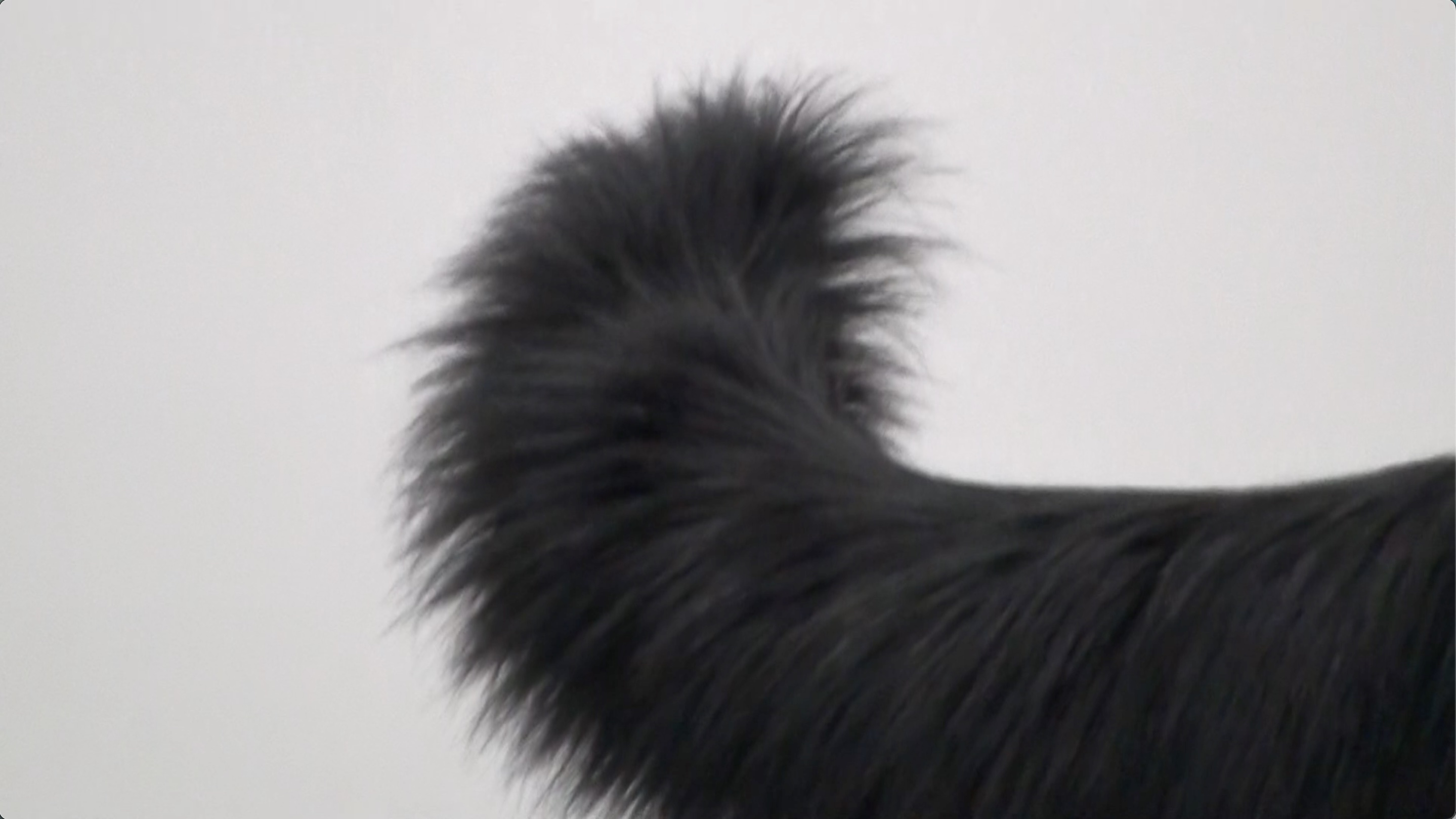 Turning Space Launch — film still